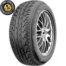 195/65R15 91H High Perfomance 401 Taurus
